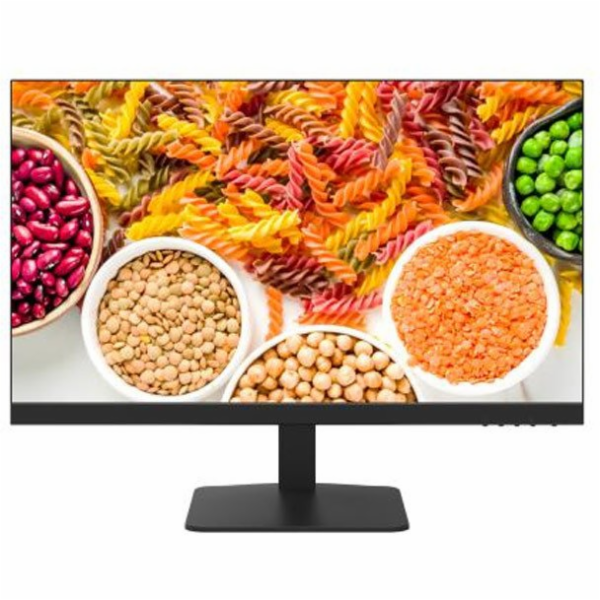 Hikvision Monitor DS-D5024F2-1P2