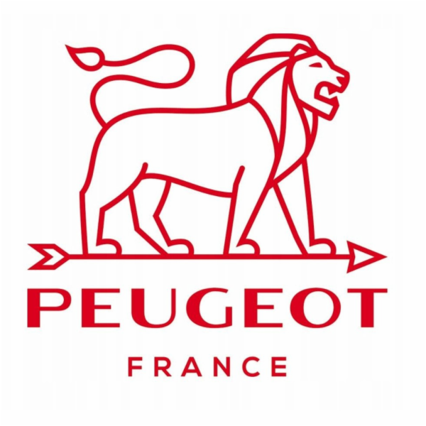 Peugeot APPOLIA Obdélníkový talíř 36 cm modrý