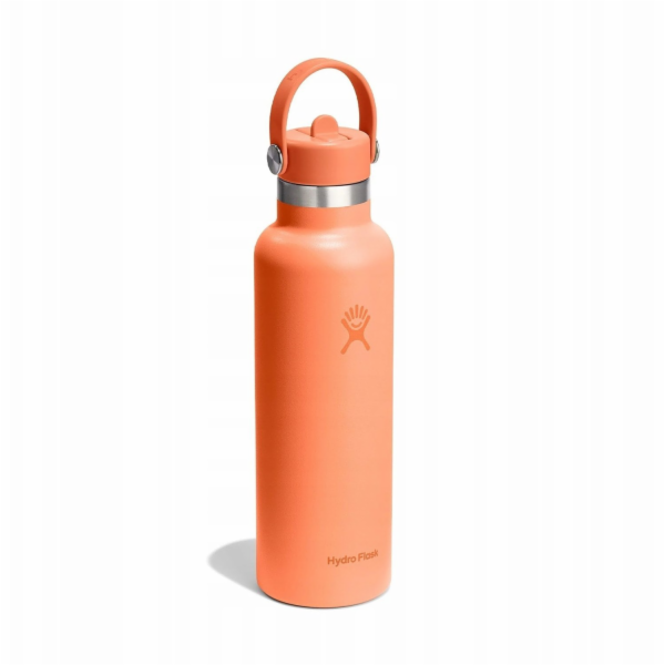 Hydro Flask Termoláhev s brčkem 621 ml NEC