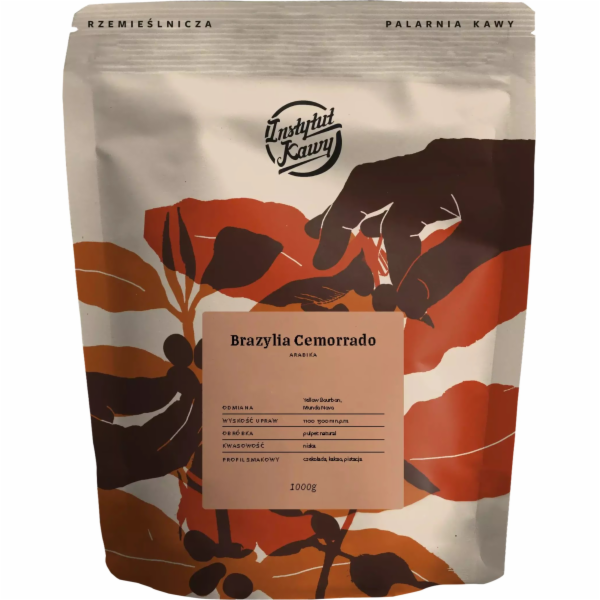 Instytut Kawy Kávová zrna Institute Kávová zrna Brazil Ce...