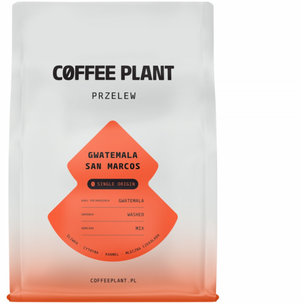 Story Coffee Roasters COFFEE PLANT - Guatemala San Marcos...