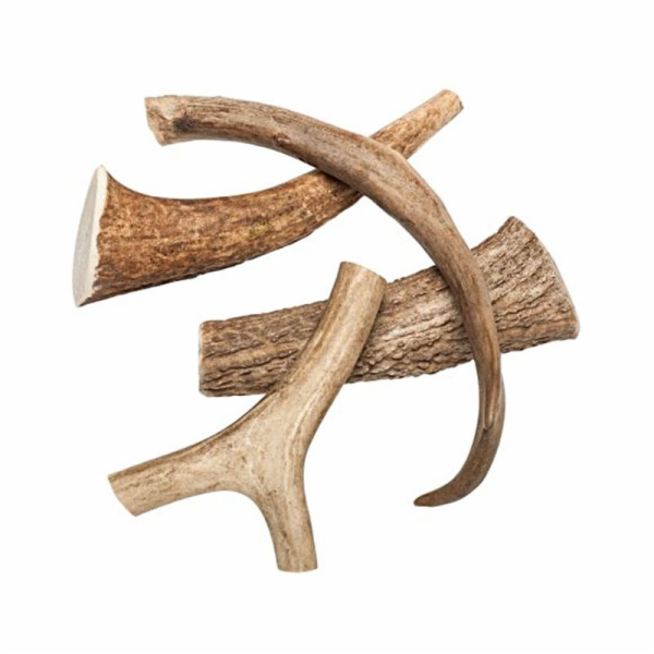 ZVERKY Odměna pro psy Jelení paroh celý XXL