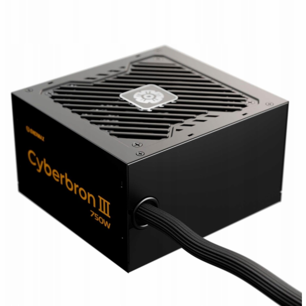 Enermax CYBERBRON III 750W (1x 12-Pin High Power GPU, 2x ...