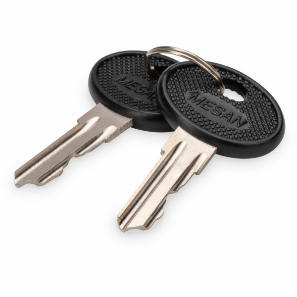 Digitus Schlüssel für Varioflex-N, Unique Serverschränke,...