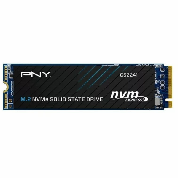 PNY 1TB M.2 2280 SSD disk CS2241 M280CS2241-1TB-RB