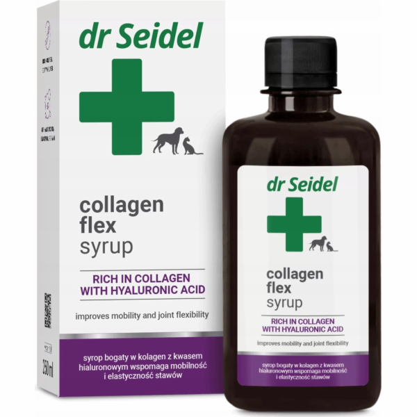 Derma-Pharm DR. SEIDEL SIRUP S KOLAGENEM FLEX 250 ml