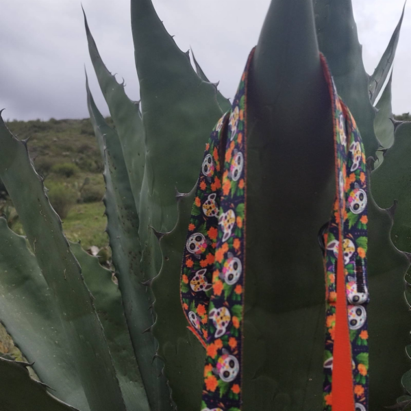 DINGO DINGO VODÍTKO CITY CHIAPAS 2,0 x 220 cm