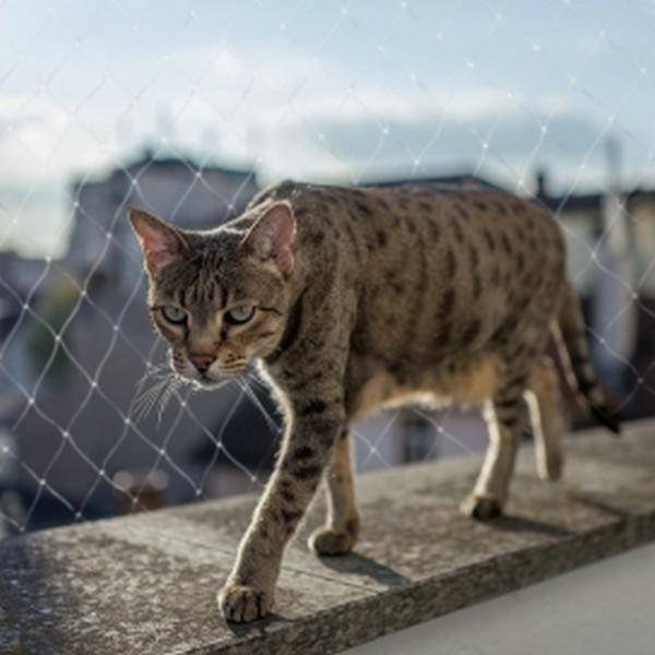 Duvo+ Duvo+ Transparentní ochranná síť 4x3m 11510