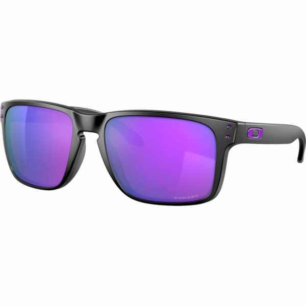 Oakley Sluneční brýle HOLBROOK XL Universal
