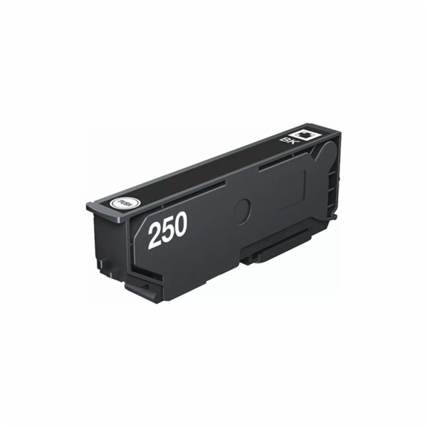 Epson 250 - 5.3 ml - cerná - originální - blistr s RF / a...