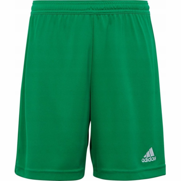 Alcasa Adidas adidas Entrada 22 dětské kraťasy zelené IC7...