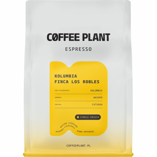 Coffee Plant Kávová rostlina Espresso Colombia Finca Los ...