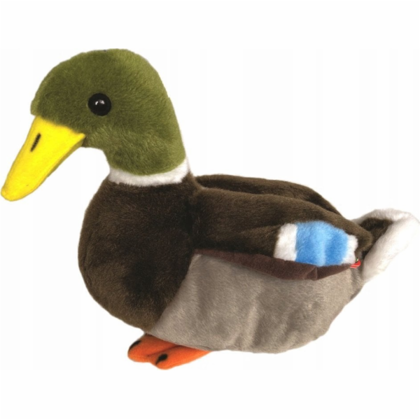 Beppe Kachna divoká 18 cm