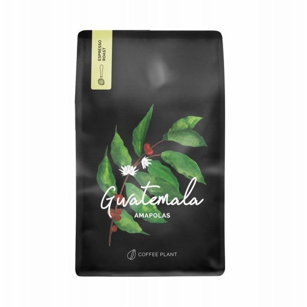 Coffee Plant Kávová zrna Kávová rostlina Guatemala Maková...