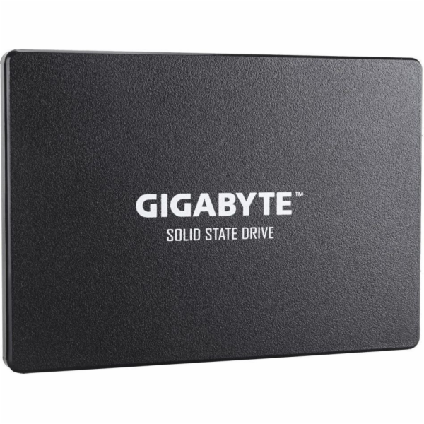 Gigabyte 1TB 2.5 SATA III SSD (GP-GSTFS31100TNTD)