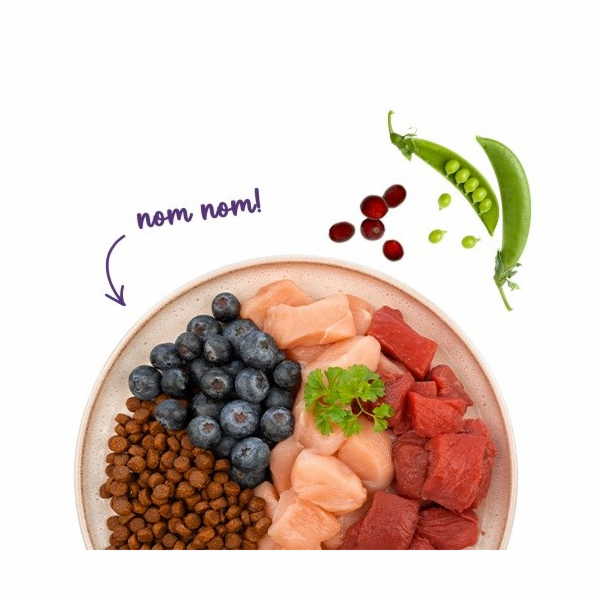 BOSCH Sanabelle Adult Ostrich & Blueberries - suché krmiv...
