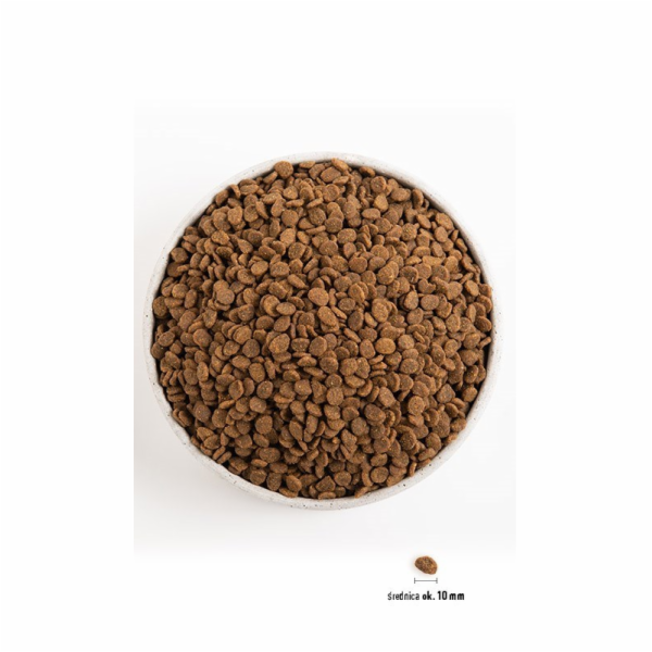 ORIJEN Original Cat - suché krmivo pro kočky - 1,8kg