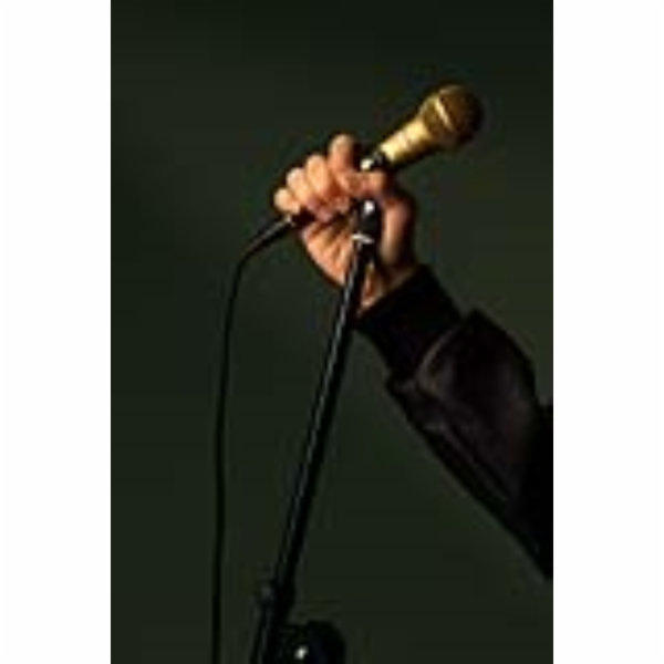 Stagg SDM50 GD, dynamický mikrofon, speciální zlatá edice