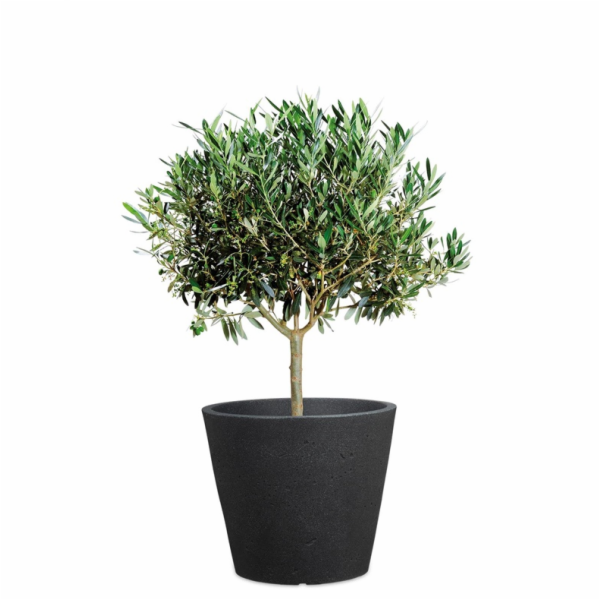 Hrnec Scheurich Stony Black, plastový, H 39 cm