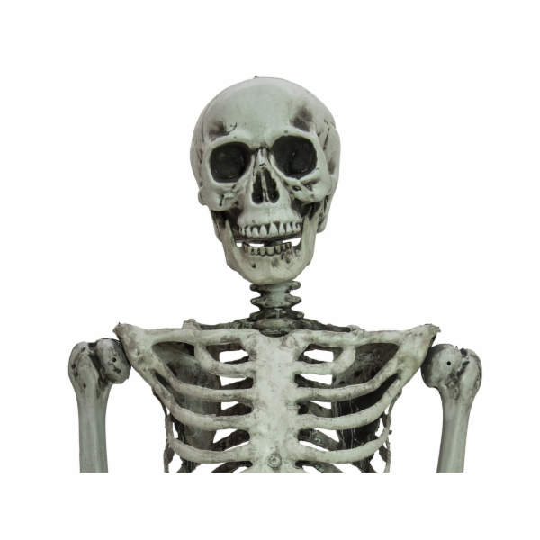 Halloween kostlivec stojící, 160cm