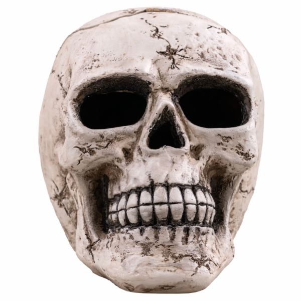 Halloween kouřící lebka 