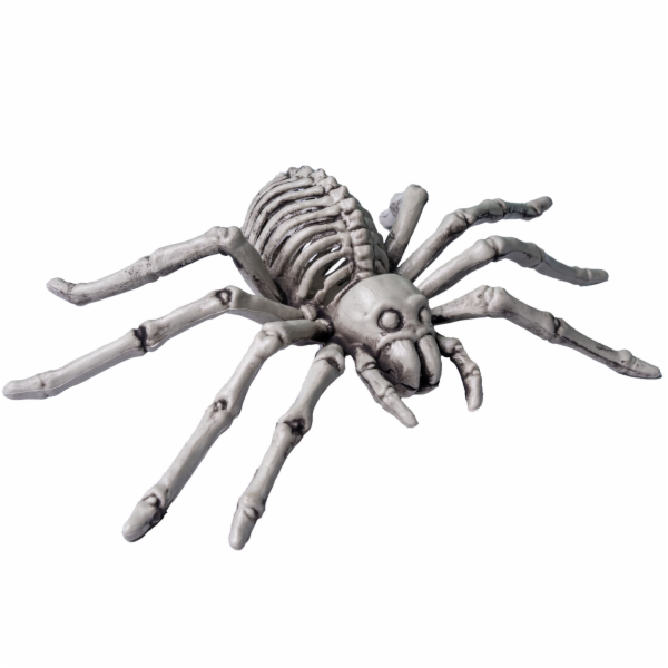 Halloween kostra pavouka