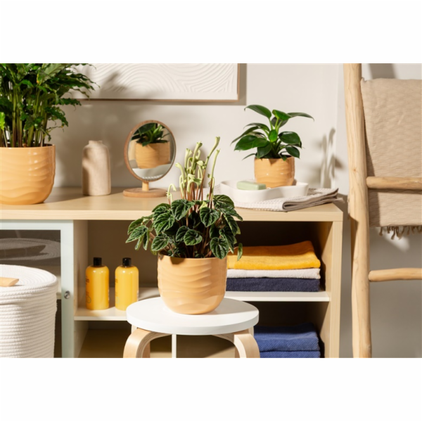 SCHEURICH Gelová květináče 69637, keramické, žluté