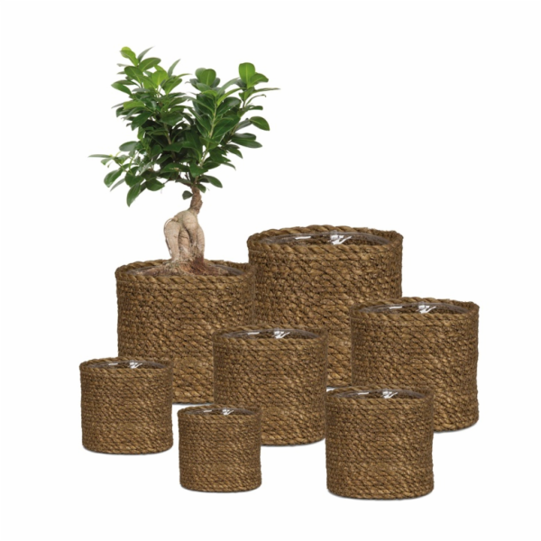 SCHEURICH Gelová květináče 67502, mořská tráva, hnědá