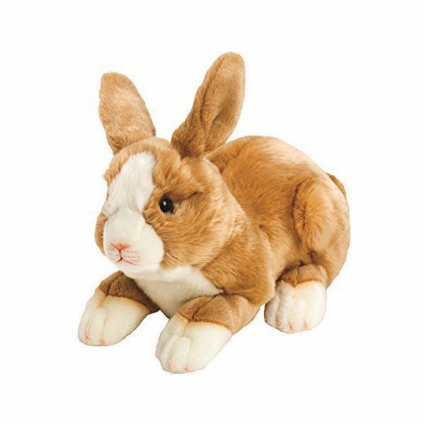 Suki feny Bunny