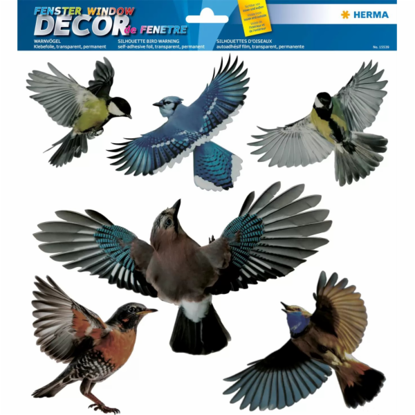 Herma okenní obraz Varovní ptáci barevný 30x30cm