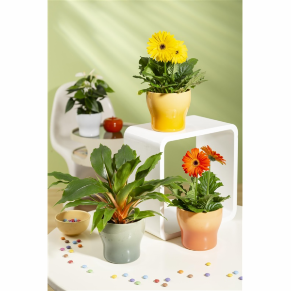 SCHEURICH Gelová nádoba 68205, keramická, žlutá