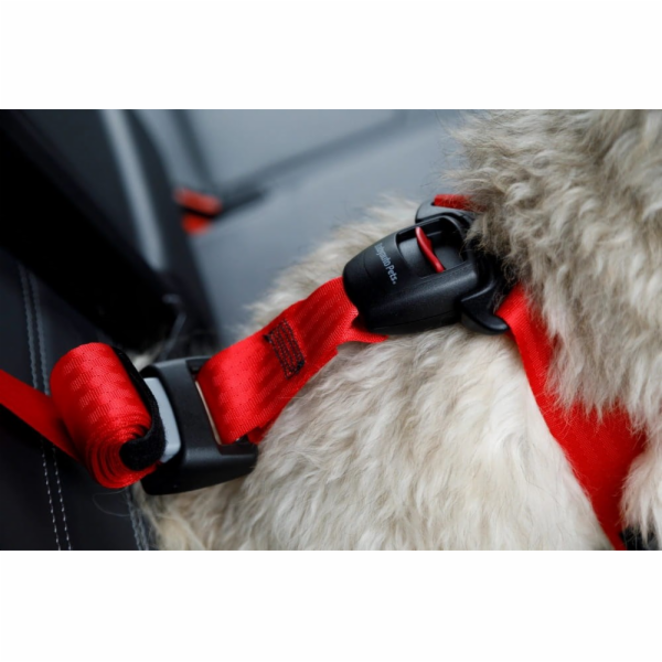 ZOLUX Travel Safe S black - postroj pro psy
