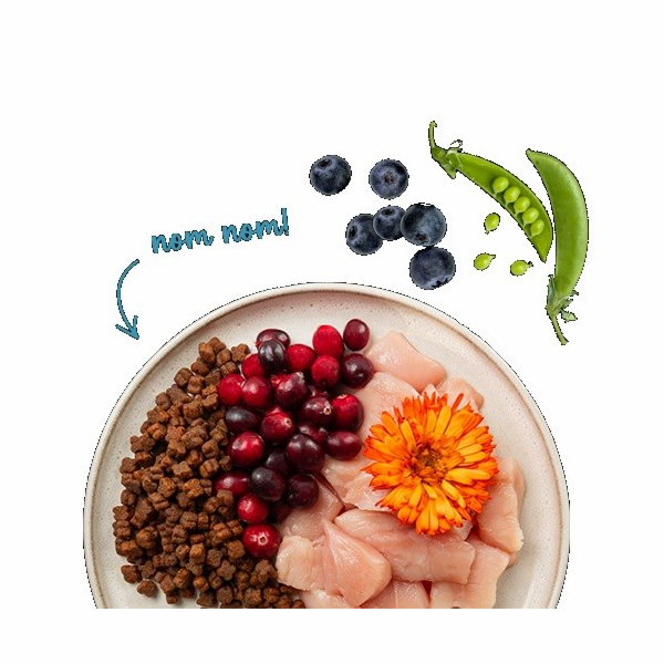 BOSCH Sanabelle Kitten Chicken with cranberries - suché k...