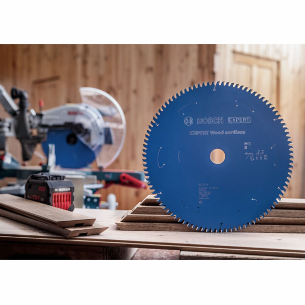 Bosch PILOVÝ KOTOUČ EX WO B 250x30-48