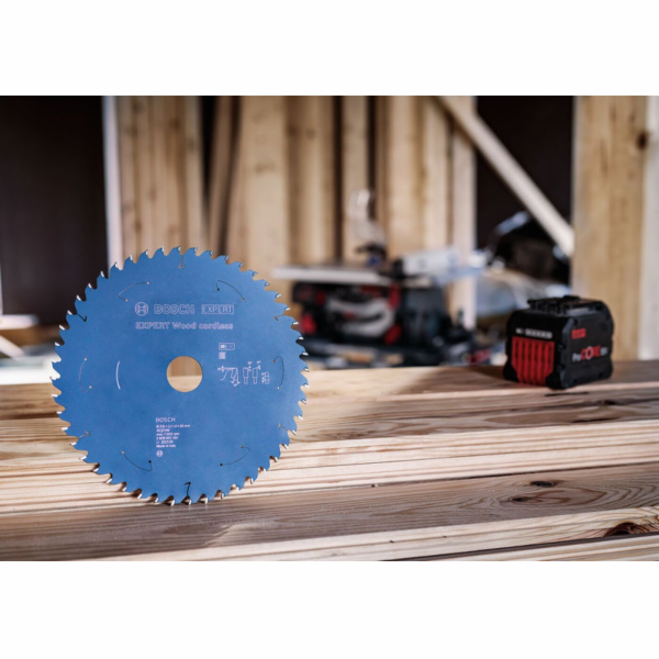 Bosch PILOVÝ KOTOUČ EX WO T 254x30-60