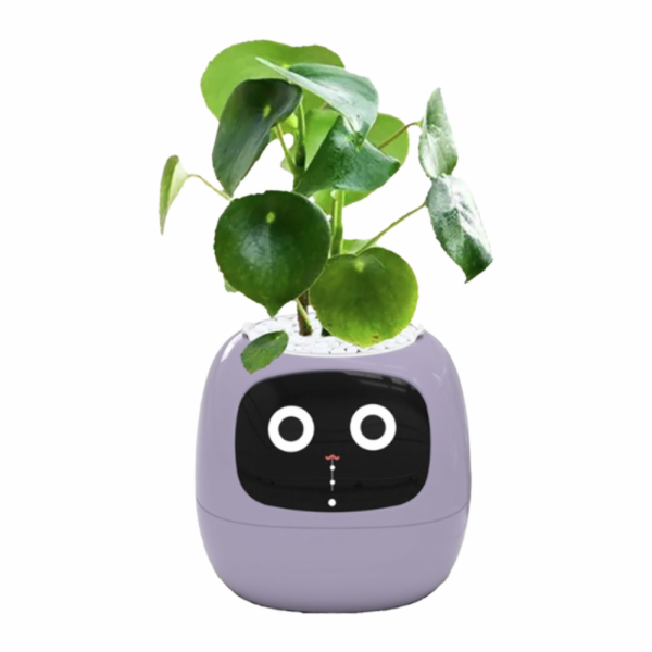 Inteligentní květináč PLANTSIO IVY fialo
