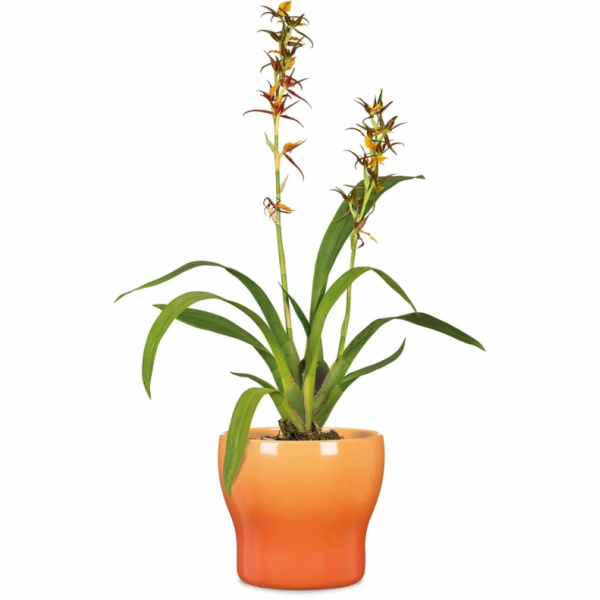 SCHEURICH Gelový hrnec 68202, keramický, oranžový