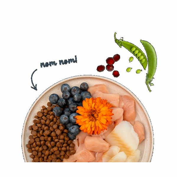 BOSCH Sanabelle Adult Trout & Blueberries - suché krmivo ...