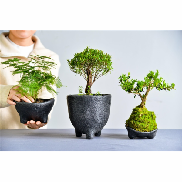 GREENSHIP Gelová nádoba Green Ship 21A17, spw, černá