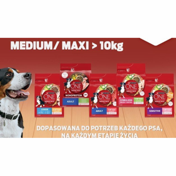 PURINA One Adult Medium/Maxi Rich in chicken with rice - ...