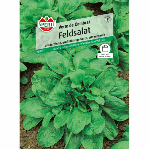 Sperli polní salát "Verte de Cambrai"