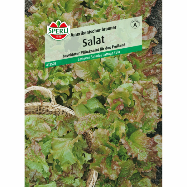 Sperli Hlávkový salát s volnými listy "American Brown"