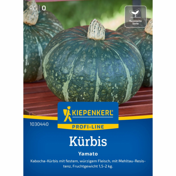 Kiepenkerl Kabocha dýně "Yamato" F1 hybrid