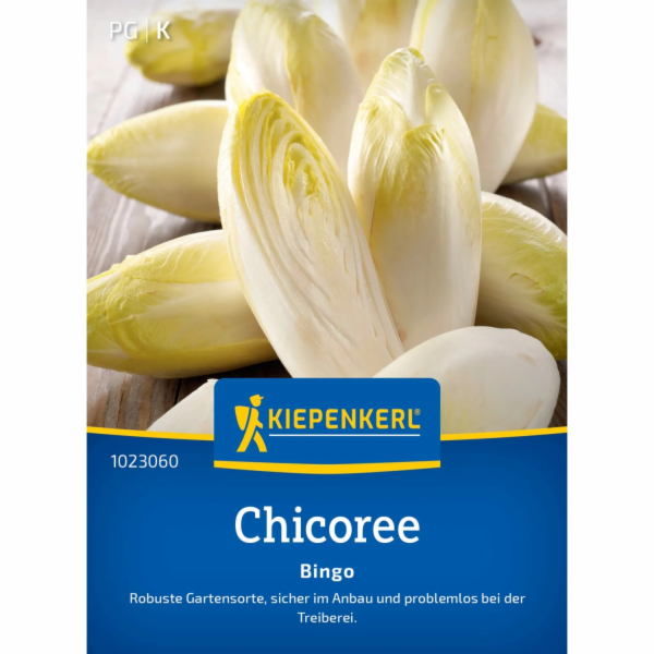 Čekanka Kiepenkerl „Bingo“ F1 hybrid