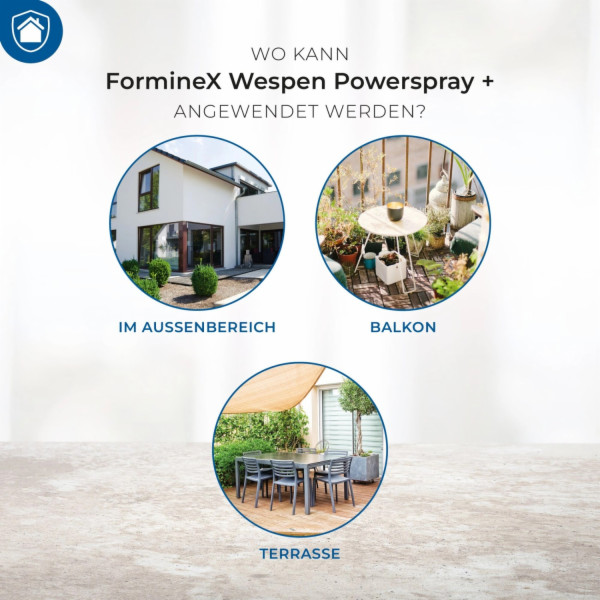 Protect Home Powerspray FormineX proti vosám 600 ml