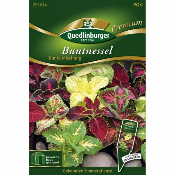 Quedlinburský koleus  Barevný mix 