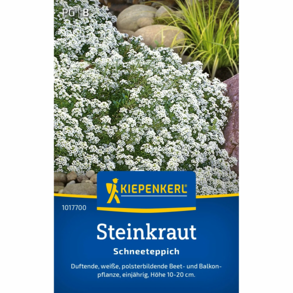Kiepenkerl Alyssum "Sněhový koberec"