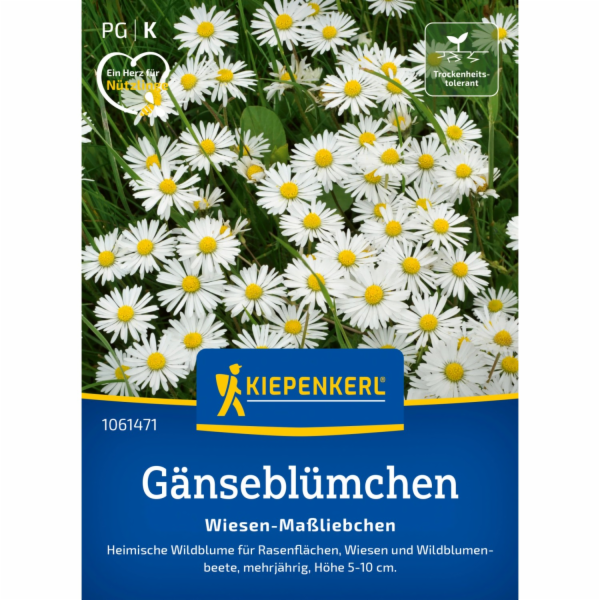 Kiepenkerl Seeds Sedmikráska luční