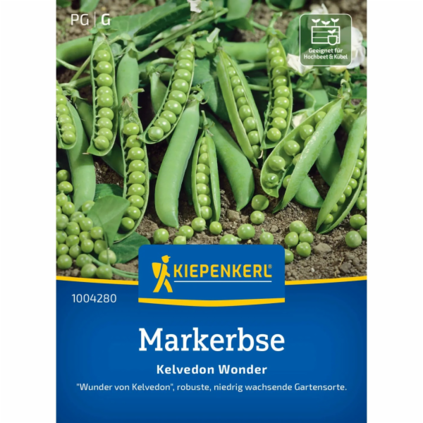 Kiepenkerl Markerbse "Kelvedon Wonder"