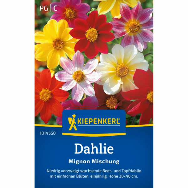Kiepenkerl Dahlia "Mignon Mix" Dahlia